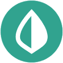 Mint logo