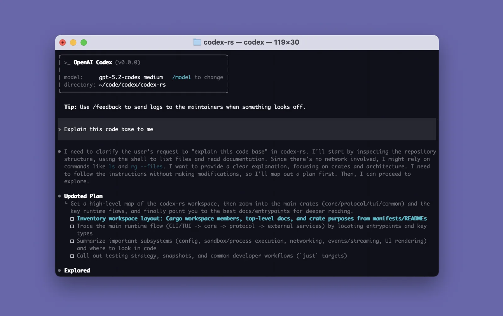 Codex CLI terminal UI planning a codebase walkthrough