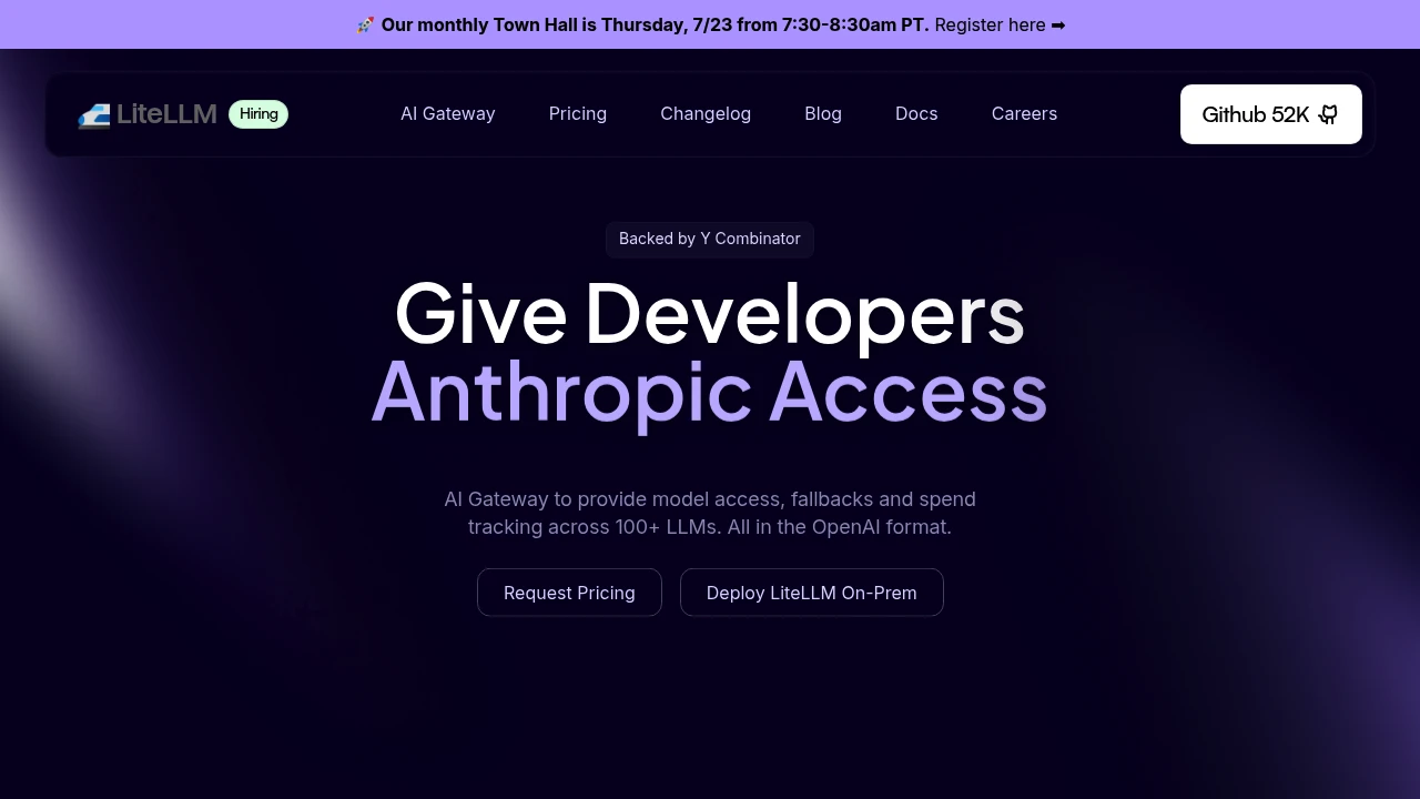 LiteLLM screenshot 1
