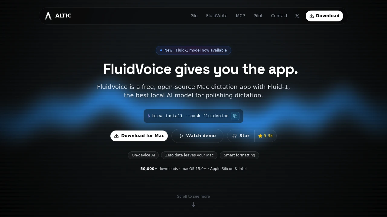 FluidVoice screenshot 1